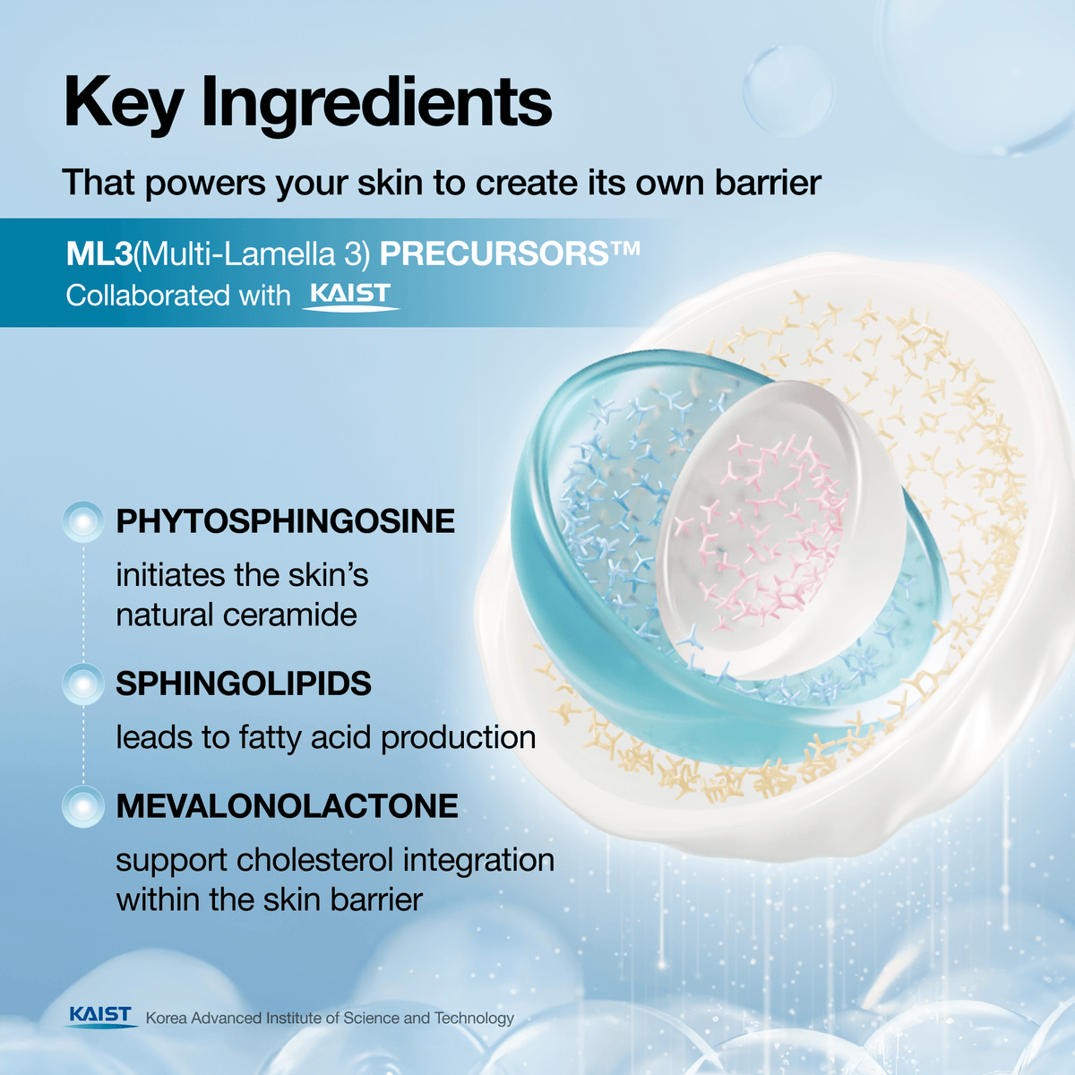 Barrier Reboot Daily Moisturizer